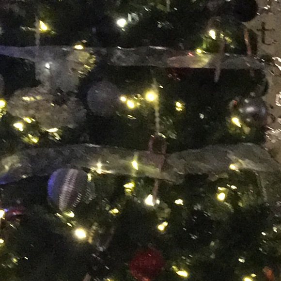 Meet your Posher, Nyla - Picture 1 of 1